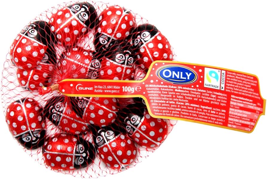 ONLY Fairtrade Milk Chocolate Ladybird Net 85g
