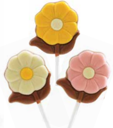 FLORENCE FLOWER LOLLY 24 x 30g