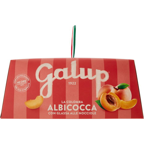 GALUP LA COLOMBA Albicocca (Apricots) 750g