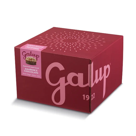 Galup Panettone Black Cherry & Chocolate 750g