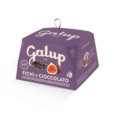 GALUP Fig and Chocolate Panettone