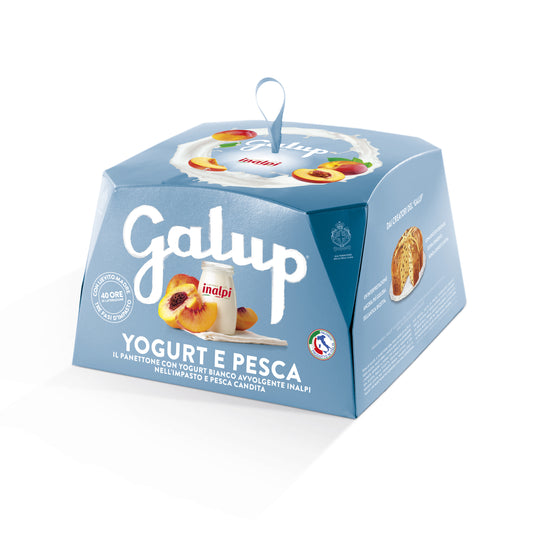 Galup Panettone - Yoghurt & Peach 750g