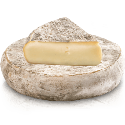 SAINT Nectaire Cheese per 100g