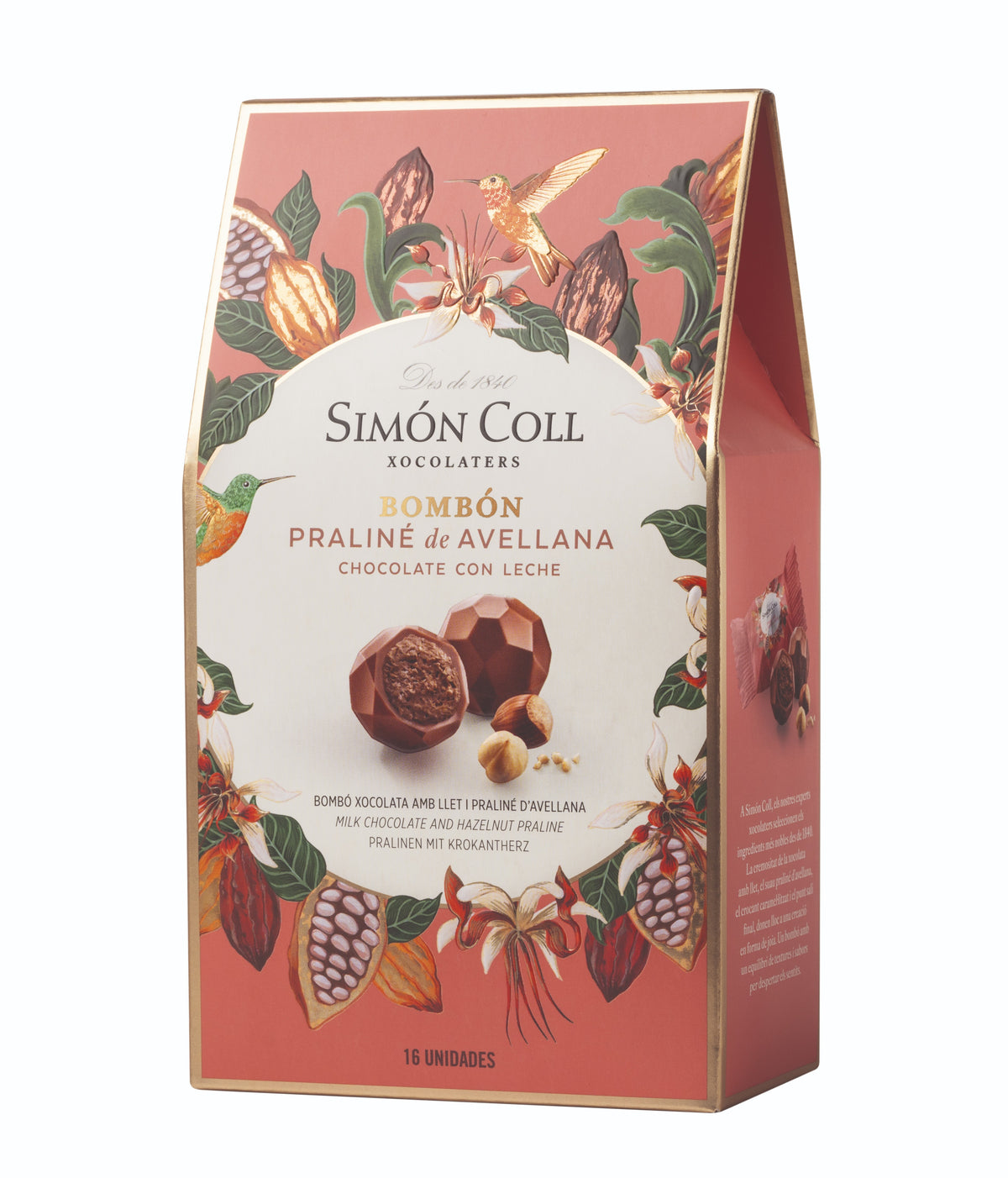 SIMON COLL Milk Chocolate and Hazelnut Praline