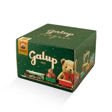 GALUP Panettone Classico Gran Galup 500g