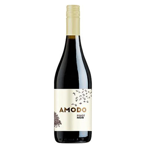 AMODO Pinot Noir, Pavia