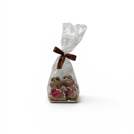 Chocolate Frog Gift Bag