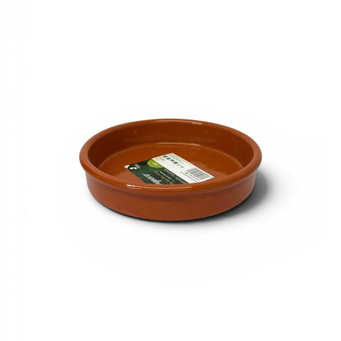 Tapas Dish