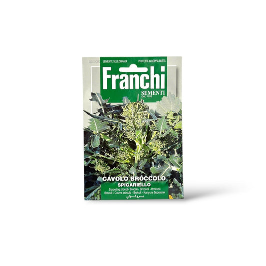 Franchi Seeds Sprouting Broccoli Spigariello