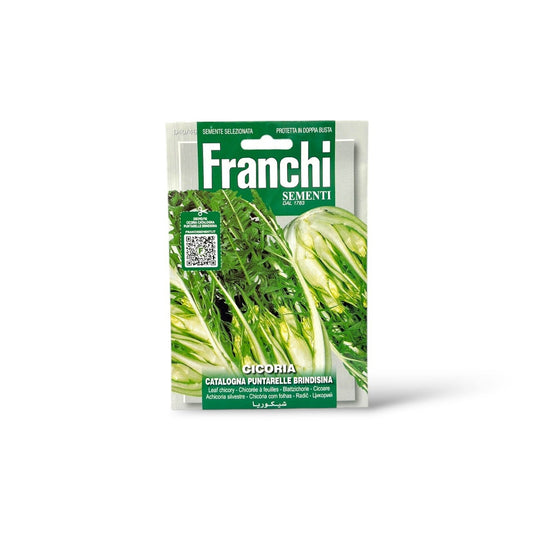 Franchi Seeds Puntarelle Chicory