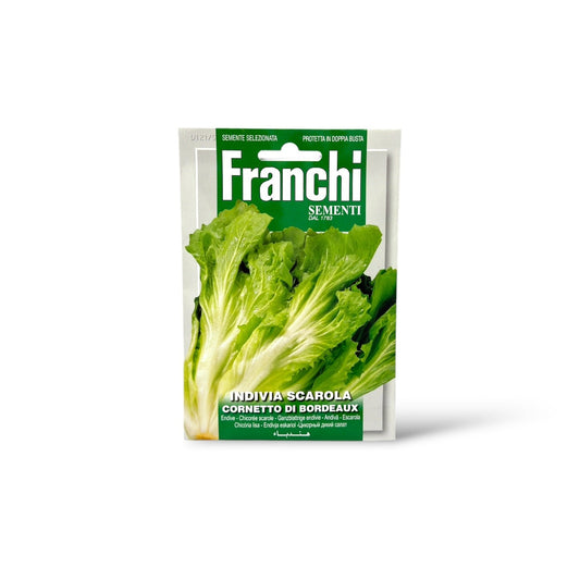 Franchi Escarole Endive Cornetto di Bordeaux