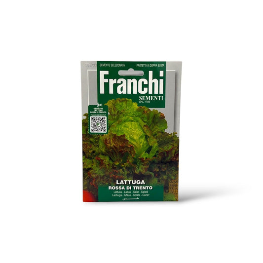 Franchi Seeds Red Lettuce of Trento