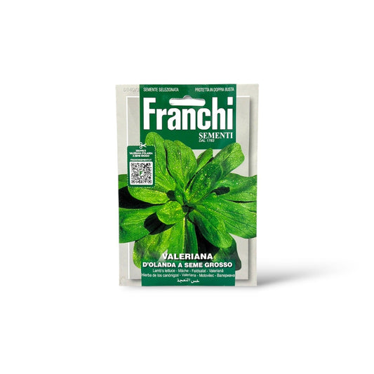 Franchi Seeds Valeriana d'olanda Corn Salad