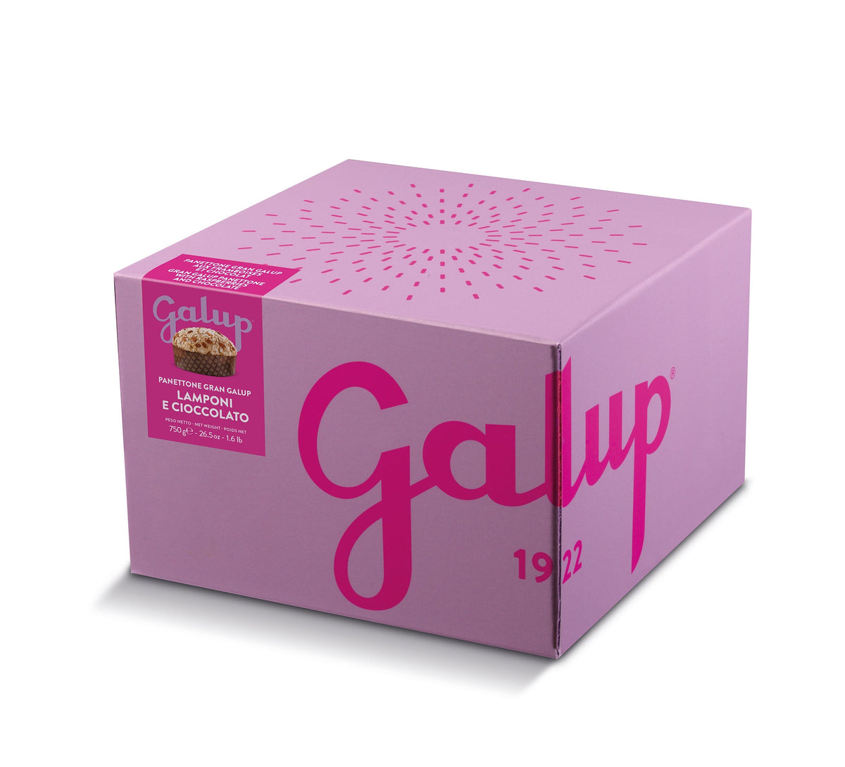 Galup Raspberry & Dark Chocolate Panettone 750g