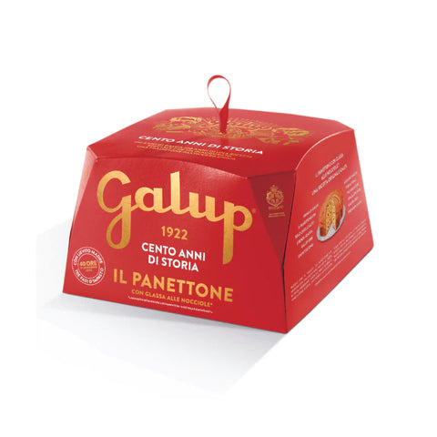 GALUP Traditional Il Panettone 500g