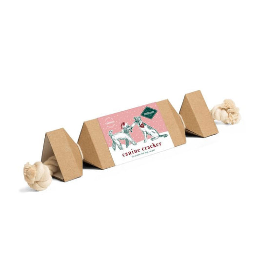 GOODCHAP'S Canine Cracker with Salmon Treats 50g