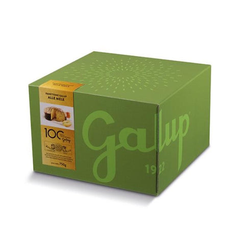 GALUP Colourfully Apple Panettone 750g