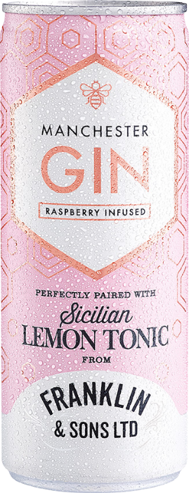 FRANKLIN & SONS Manchester Signature Gin & Lemon Tonic 250ml