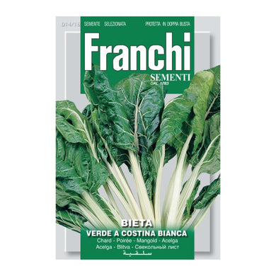 FRANCHI SEEDS Swiss Chard Costina Bianca