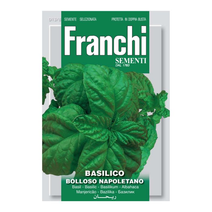 FRANCHI SEEDS Basil Bolloso Napoletano