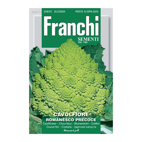 FRANCHI SEEDS Cauliflower Romanesco Precoce