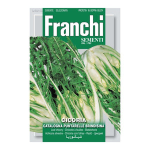 FRANCHI SEEDS Chicory Catalogna Puntarelle Brindisina