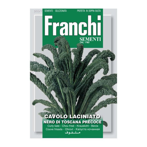 FRANCHI SEEDS Kale Of Tuscany