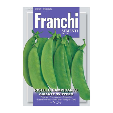 FRANCHI SEEDS Snow Pea Gigante Svizzero