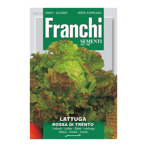 FRANCHI SEEDS Lettuce Rossa di Trento