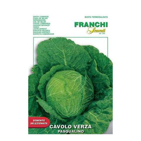 FRANCHI SEEDS Savoy Cabbage Pasqualino