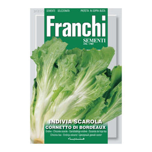 FRANCHI SEEDS Endive Scarola Cornetto Di Bordeaux