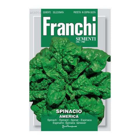 FRANCHI SEEDS Spinach America