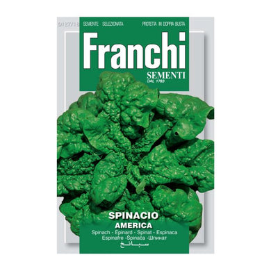 FRANCHI SEEDS Spinach America