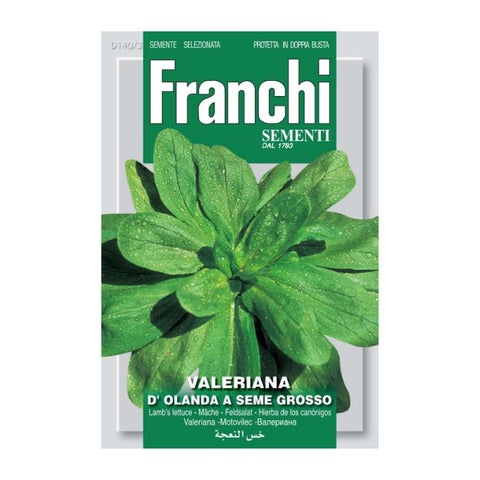 FRANCHI SEEDS Corn Salad Lamb's Lettuce Mache D'Olanda