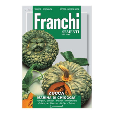 FRANCHI SEEDS Pumpkin Marina of Chioggia