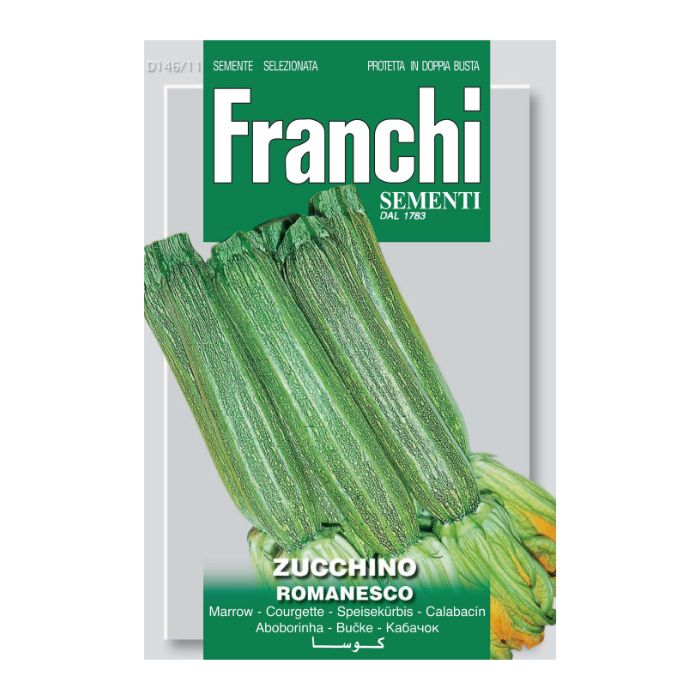 FRANCHI SEEDS Courgette Romanesco